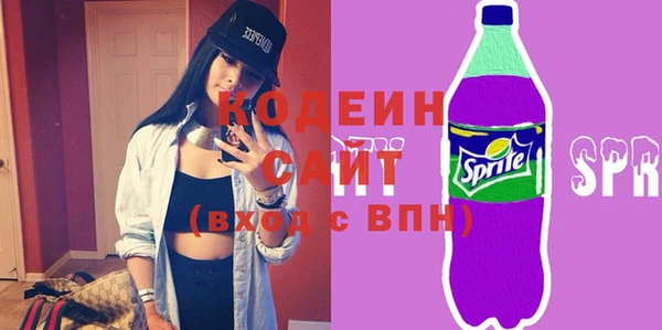 хмурый Алзамай