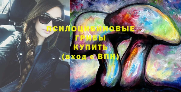 хмурый Алзамай