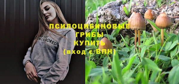 ПСИЛОЦИБИНОВЫЕ ГРИБЫ Алексин