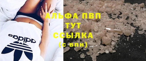 спиды Елизово