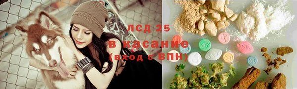 ПСИЛОЦИБИНОВЫЕ ГРИБЫ Алексин